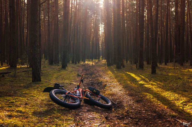 На фэтбайке по нац. парку Угра. фото превью