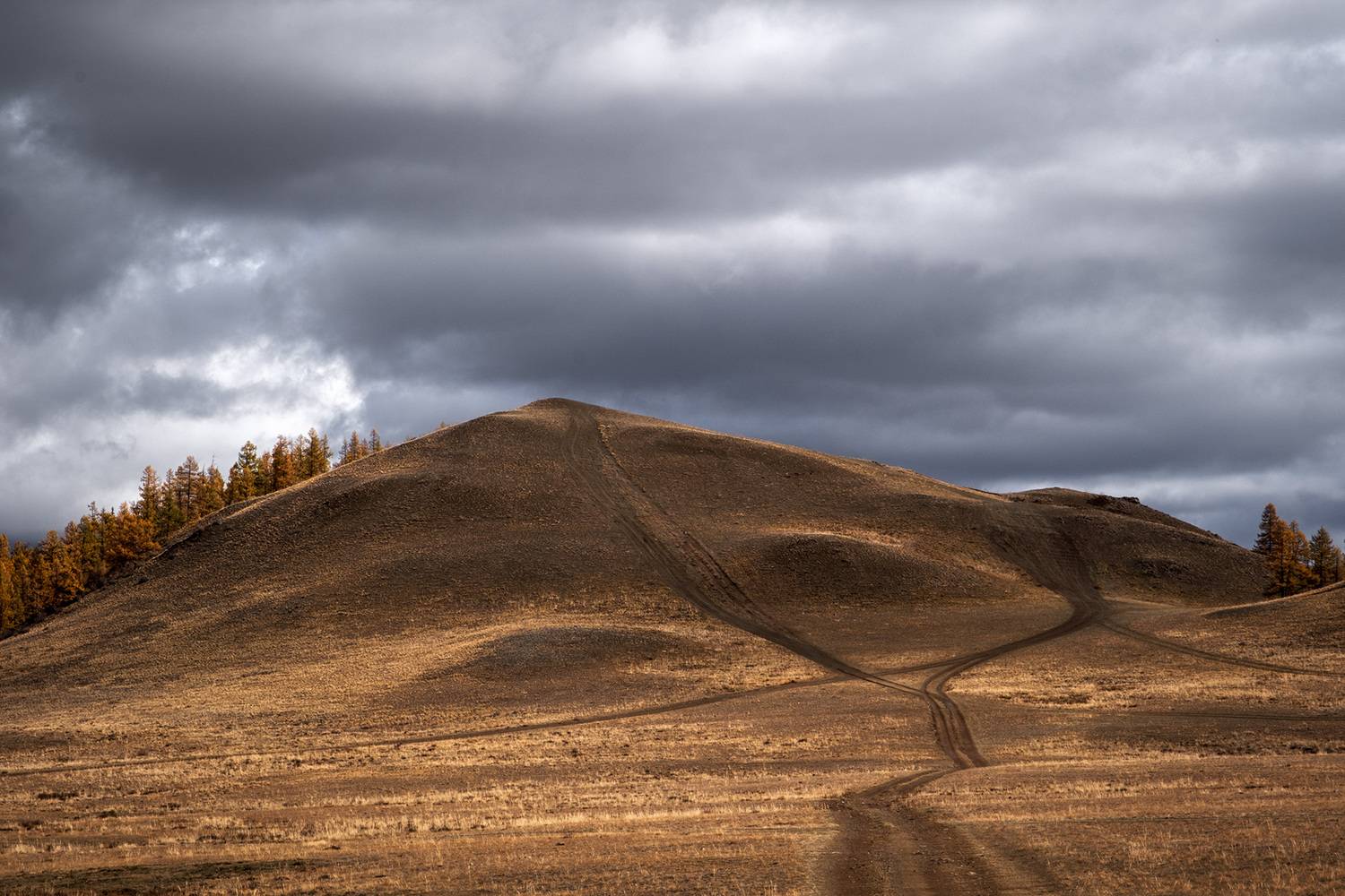 , Бодрягин Виталий