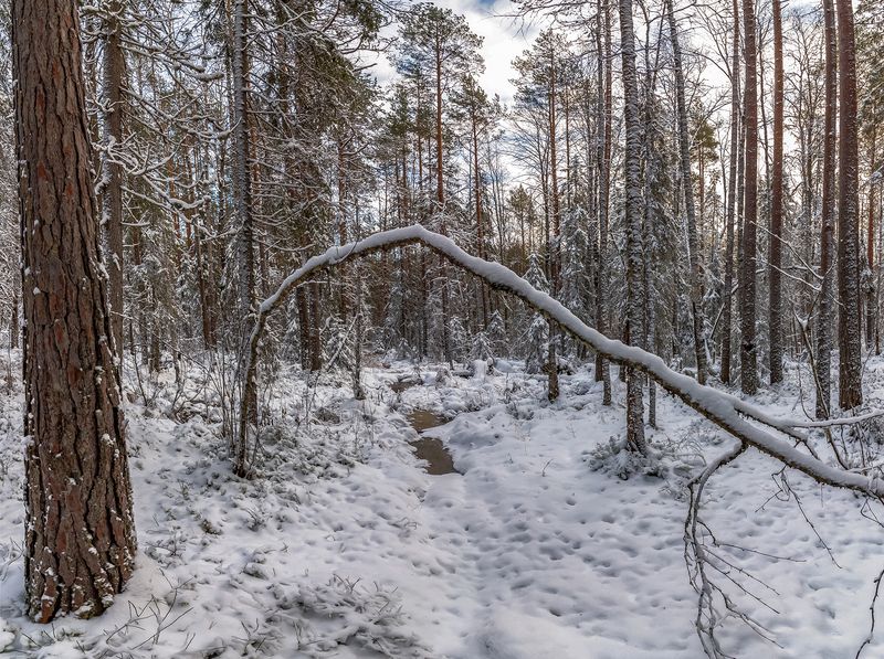 Уходит осень. фото превью