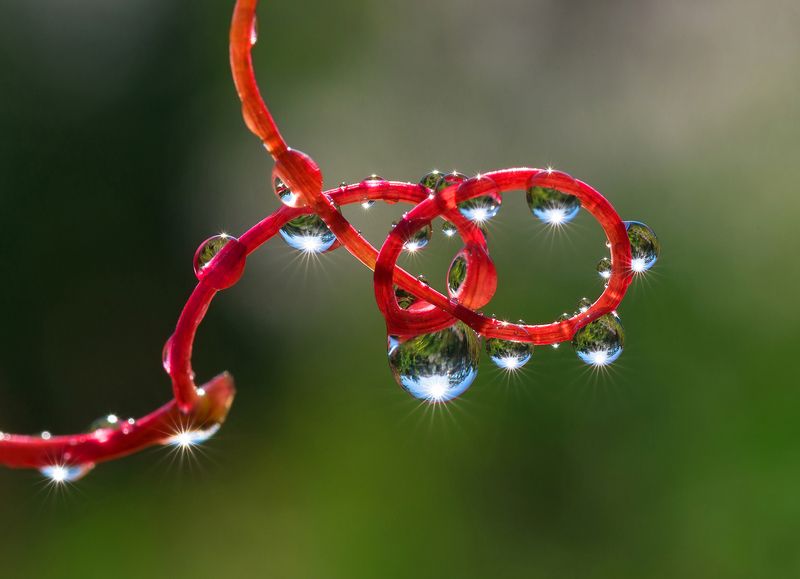 Без названия. фото превью