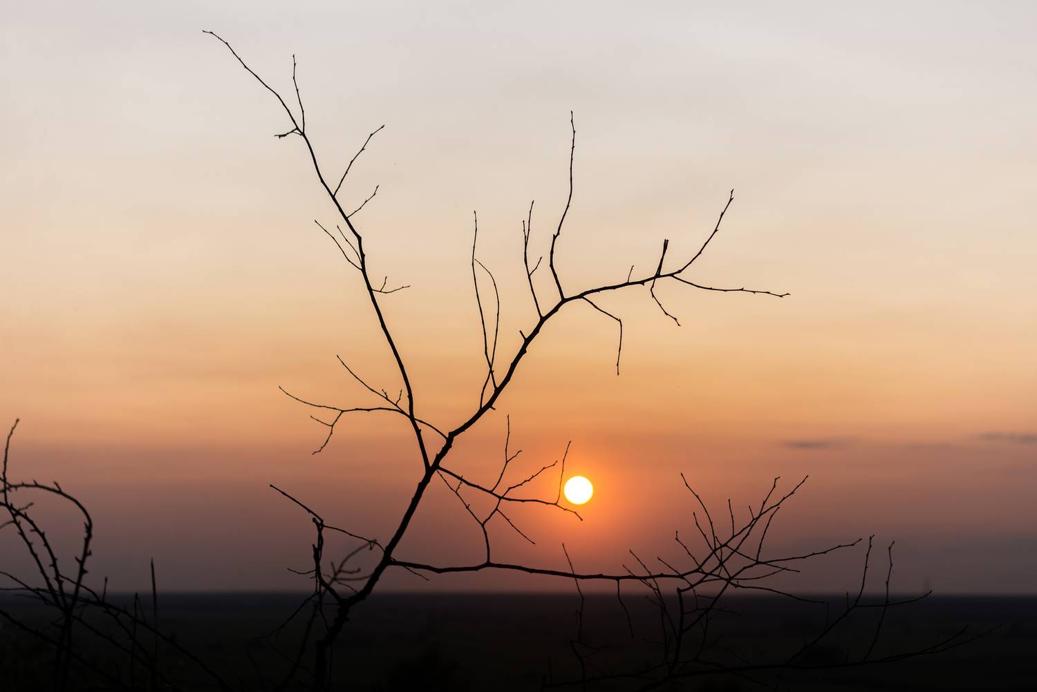 , Мария Чепрасова