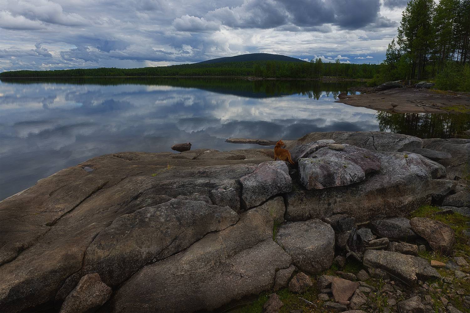 , Елена Михайлова