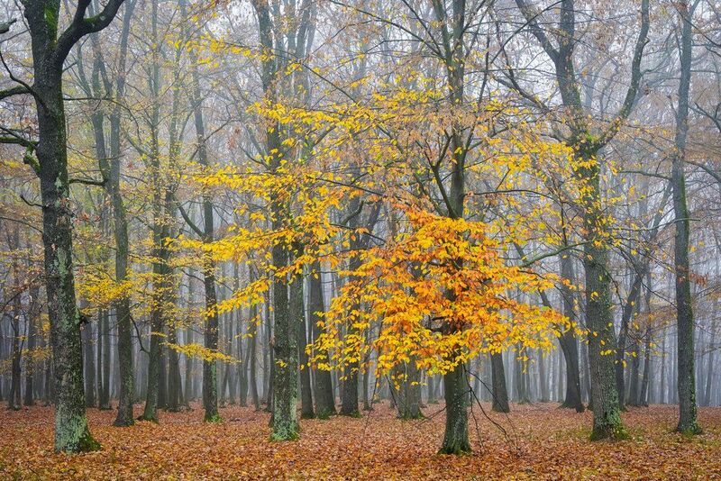 2025 фото превью