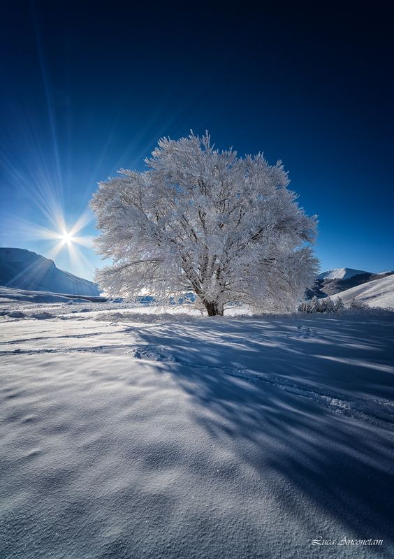 snow winter nature landscape mountains umbria italy A snowy morning фото превью