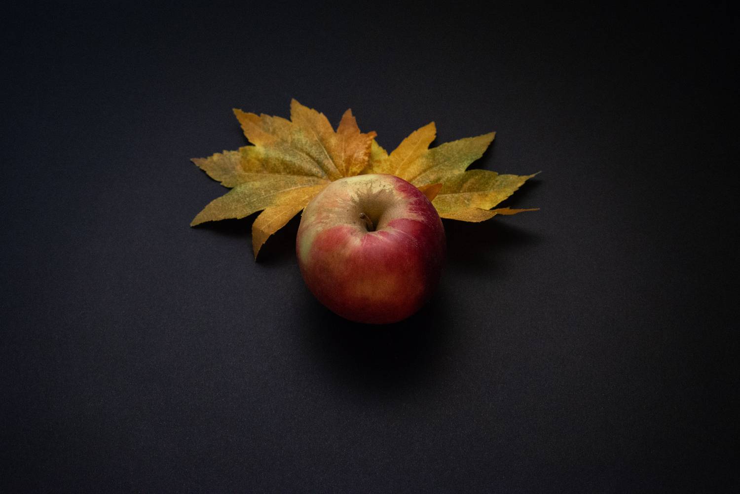 , Диденко Юрий