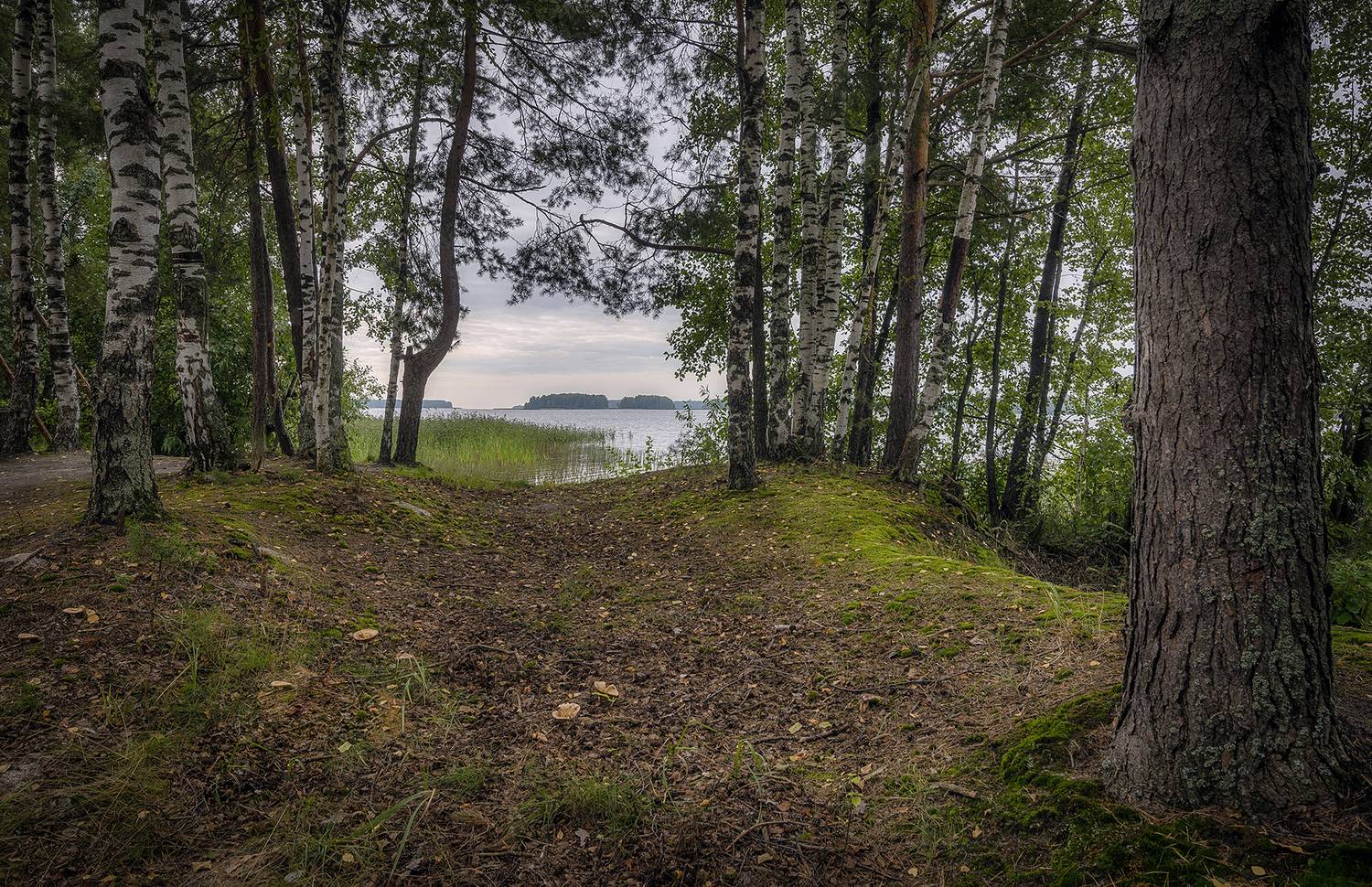 , Сергей Аникин