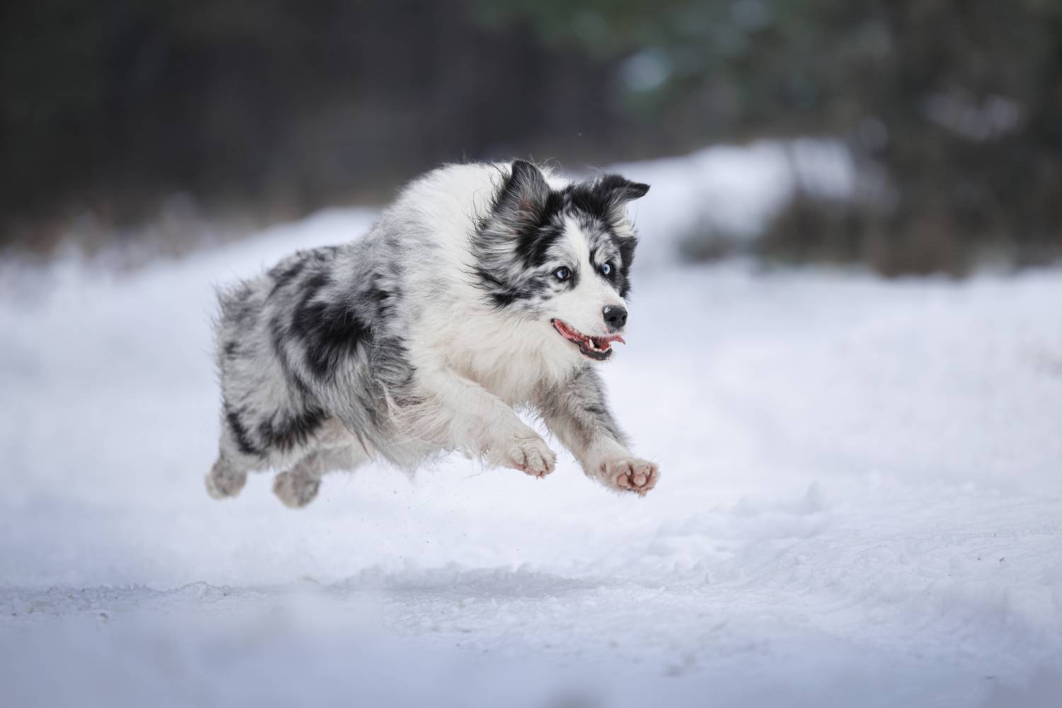 , Яна Нарбутович