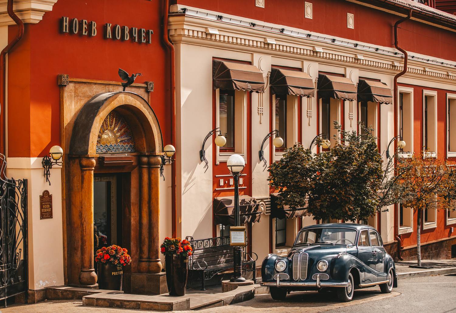 , Трепольский Дмитрий