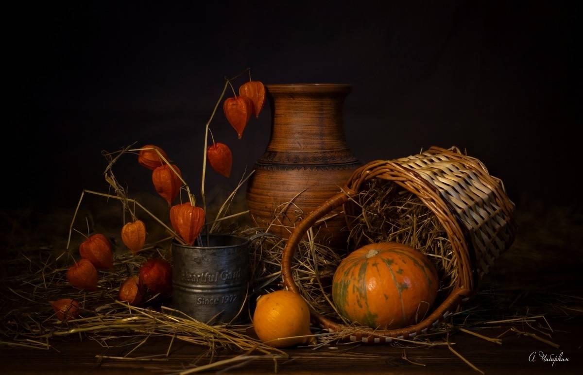 натюрморт, тыква, физалис, Александр Чибиркин