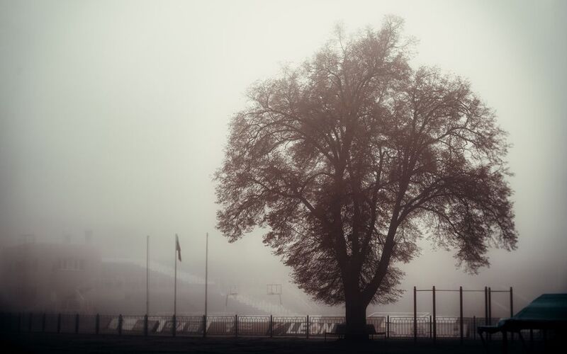 Туман фото превью