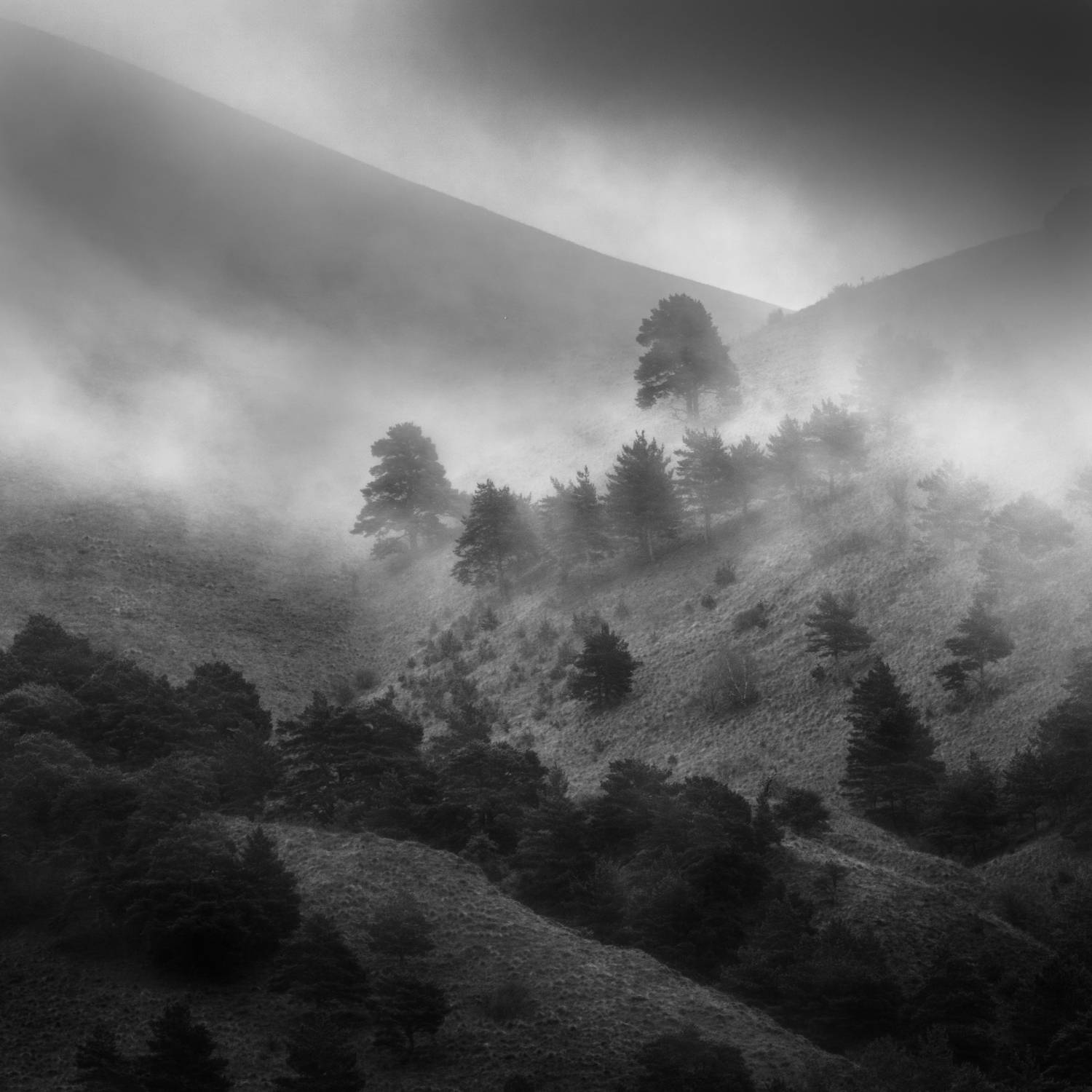 landscape, caucasus, mountines, ингушетия пейзаж, горы, кавказ, Толстоноженко Илья