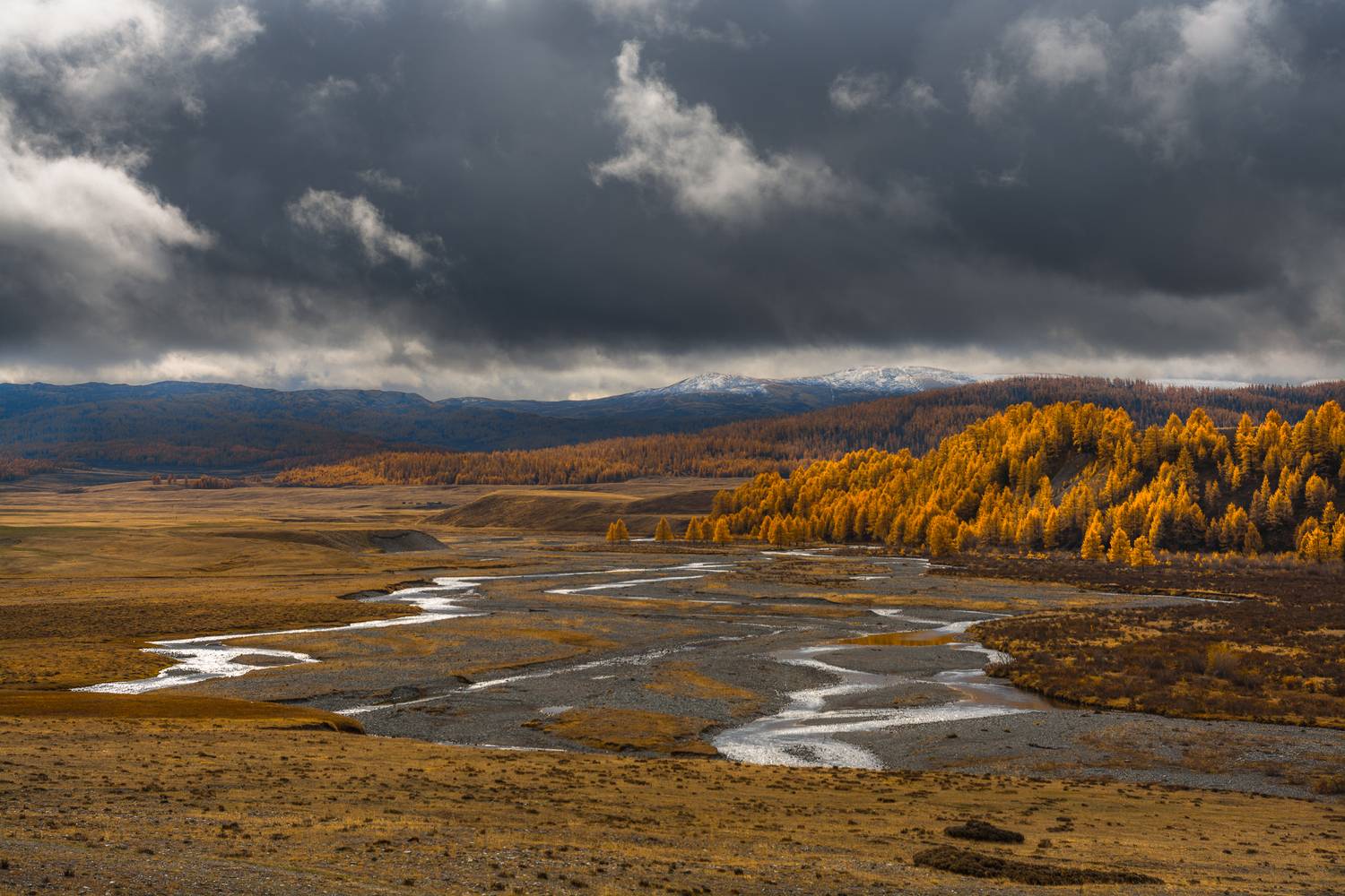 россия, горный алтай,осень, плато, долина, река, небеса, Андрей Поляков