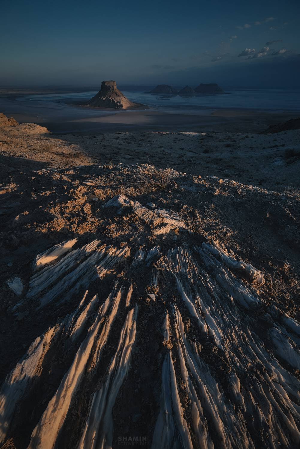 , Константин Шамин