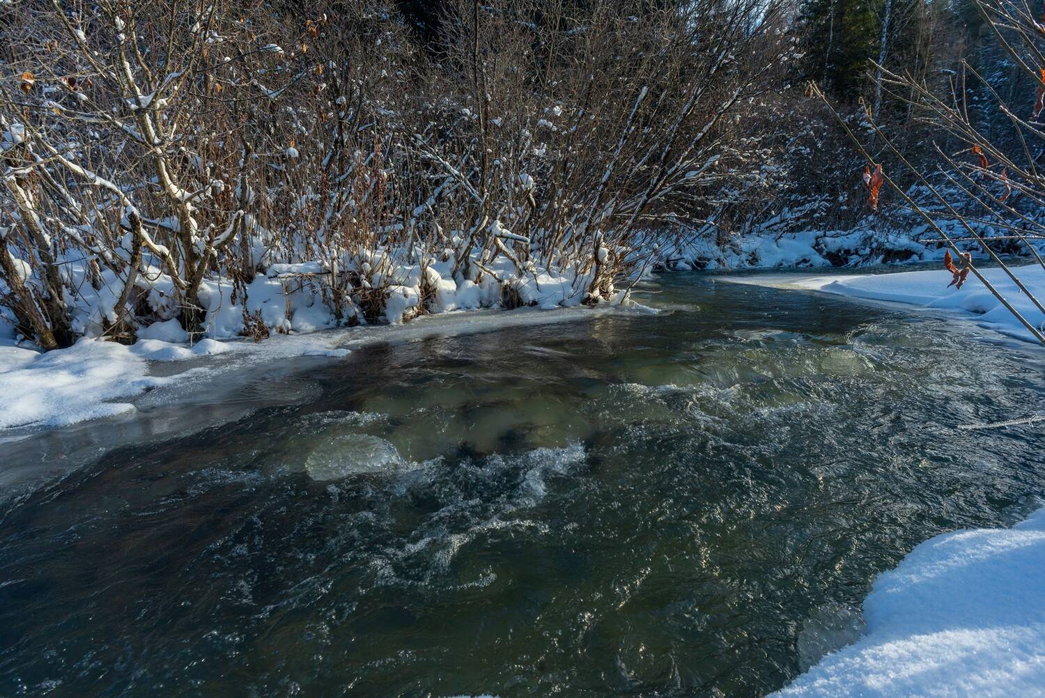 базаиха ноябрь, Беляев Юрий