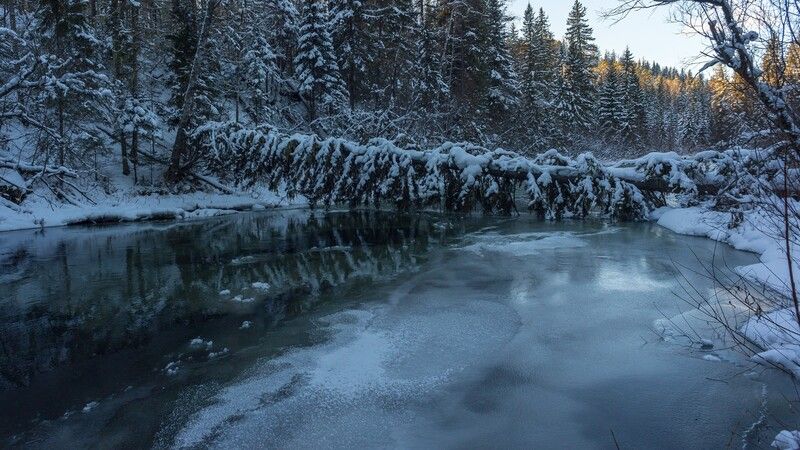 базаиха ноябрь ** * фото превью