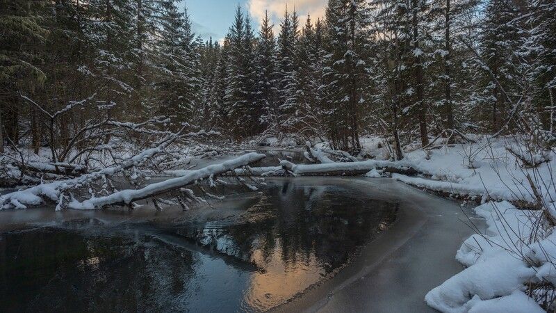 базаиха ноябрь ** * фото превью