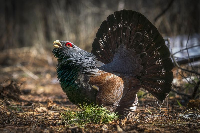 Серьезный мужчина фото превью