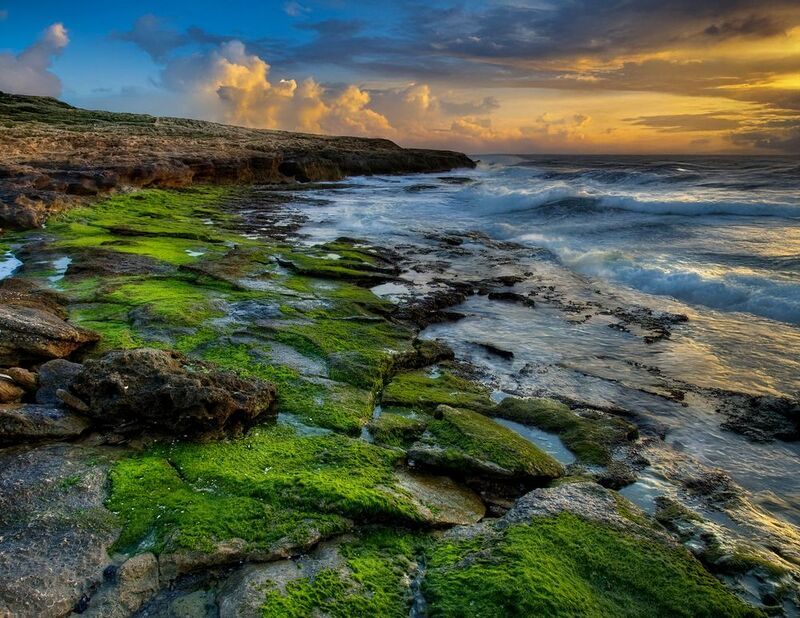 Зелёный бархат Средиземного моря. фото превью