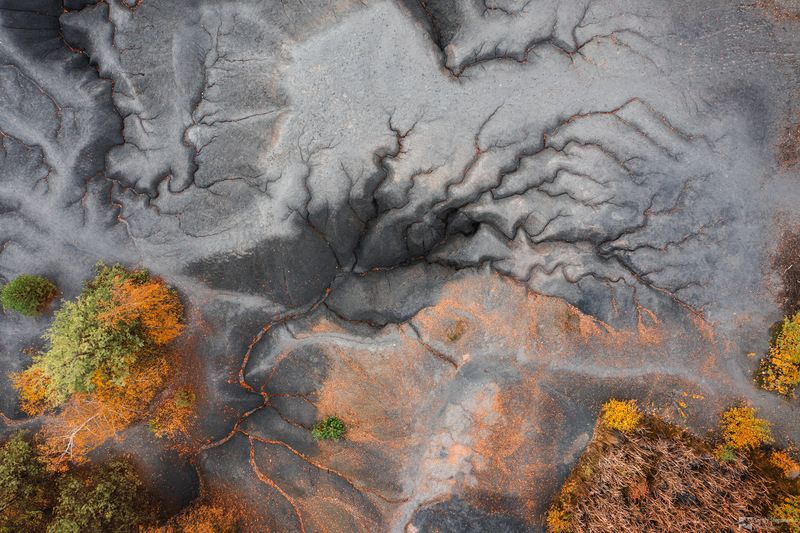 Jellyfish Tentacles фото превью