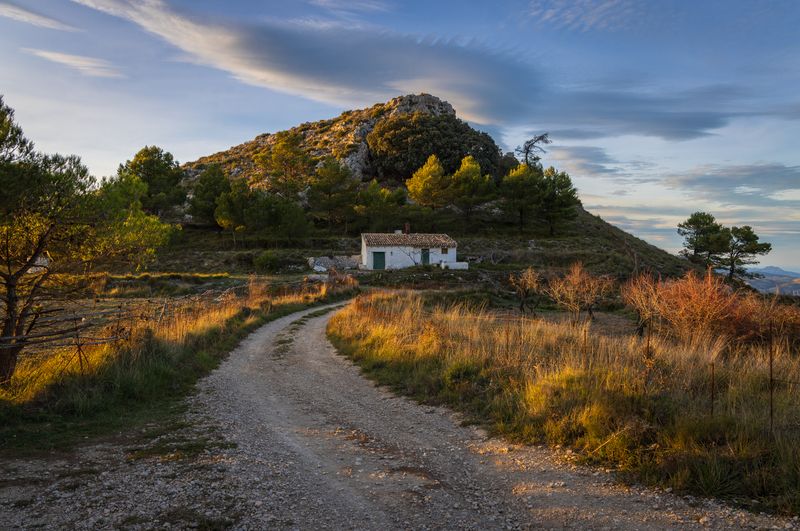 Вечерний свет фото превью