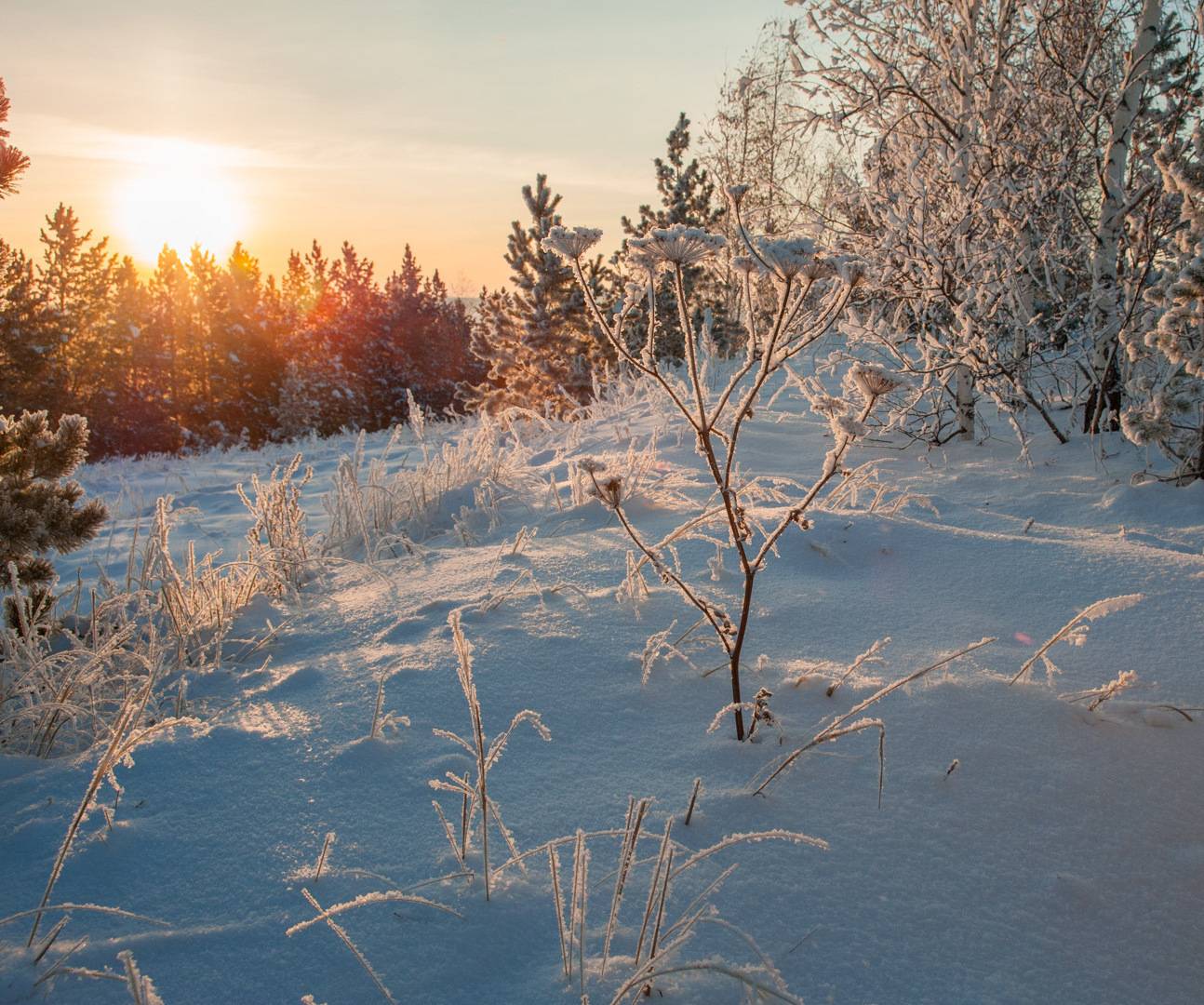 , Шустиков Дмитрий