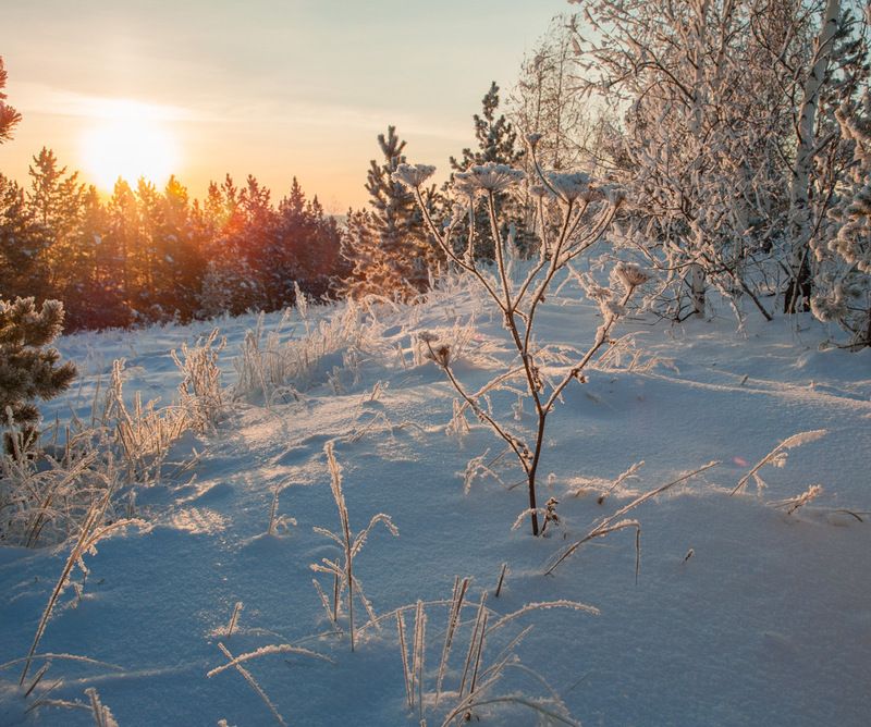 припорошено фото превью