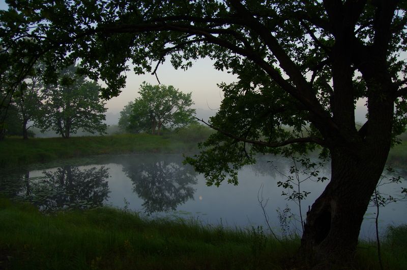 Тишина рассвета фото превью