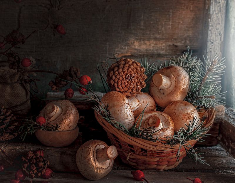 Грибной натюрморт. фото превью