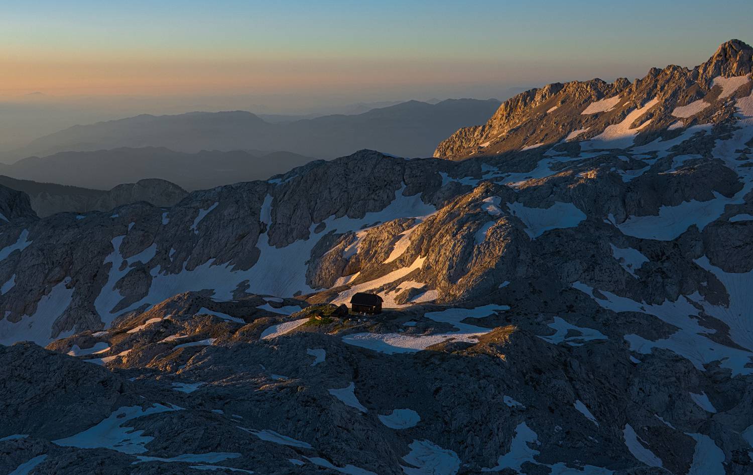 , Wojciech Tarnowski