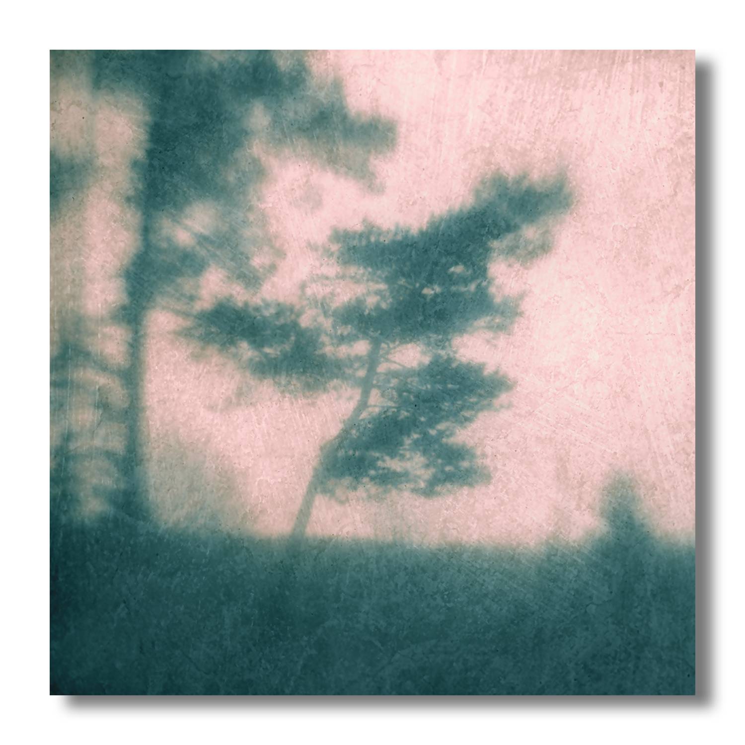 пикториализм, монокль, арт-фотография, художественная фотография, пикториальный пейзаж, пикториальная фотография, интимный пейзаж, Ефимов Андрей