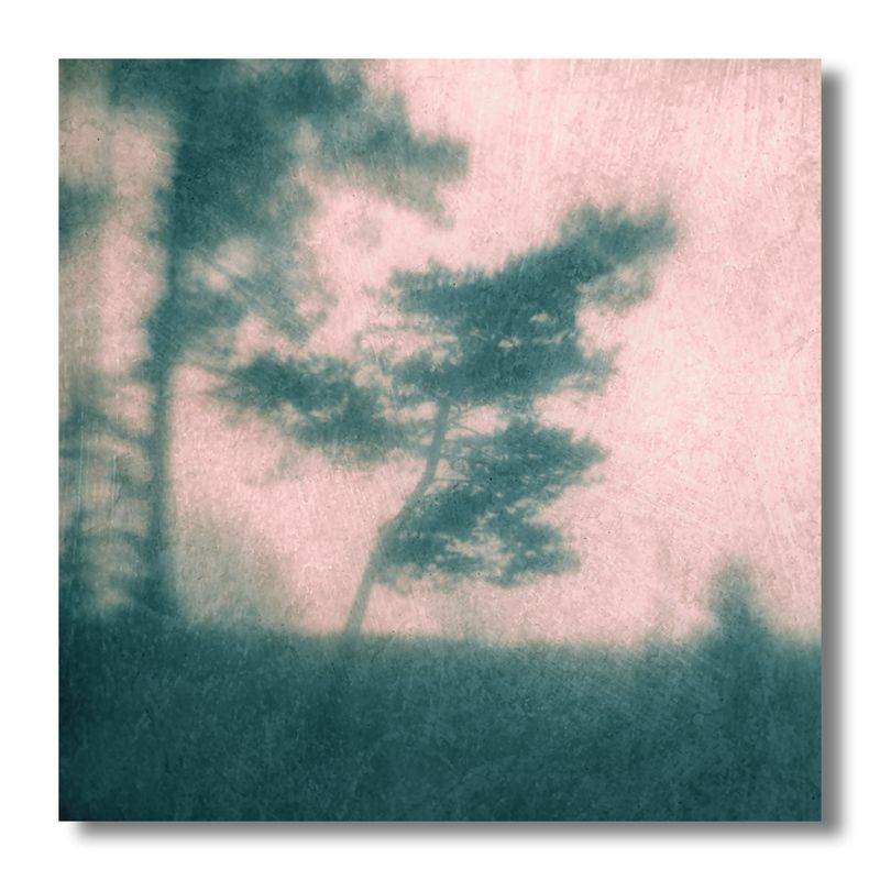 пикториализм, монокль, арт-фотография, художественная фотография, пикториальный пейзаж, пикториальная фотография, интимный пейзаж ___ фото превью