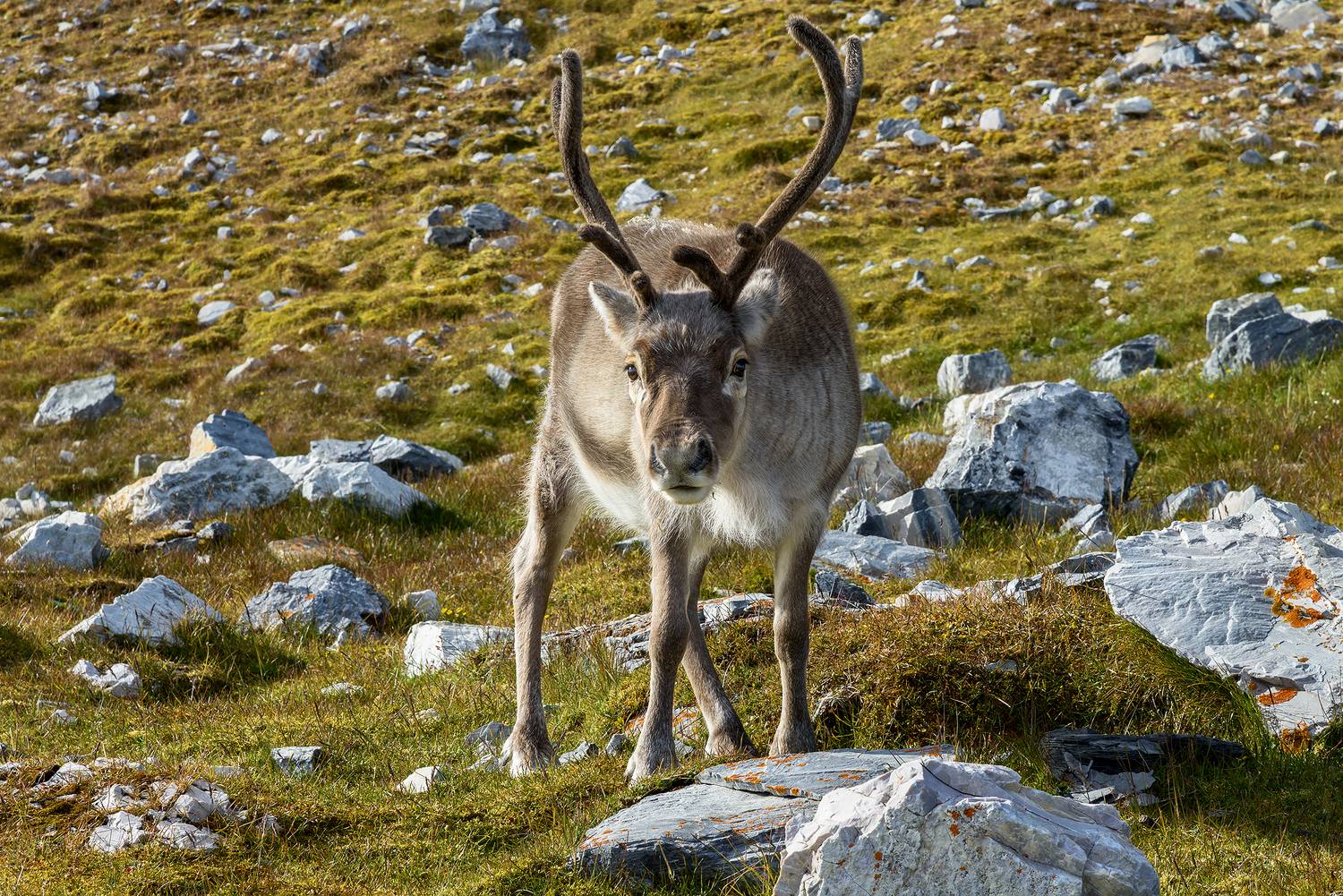 , Юрий Матвеев