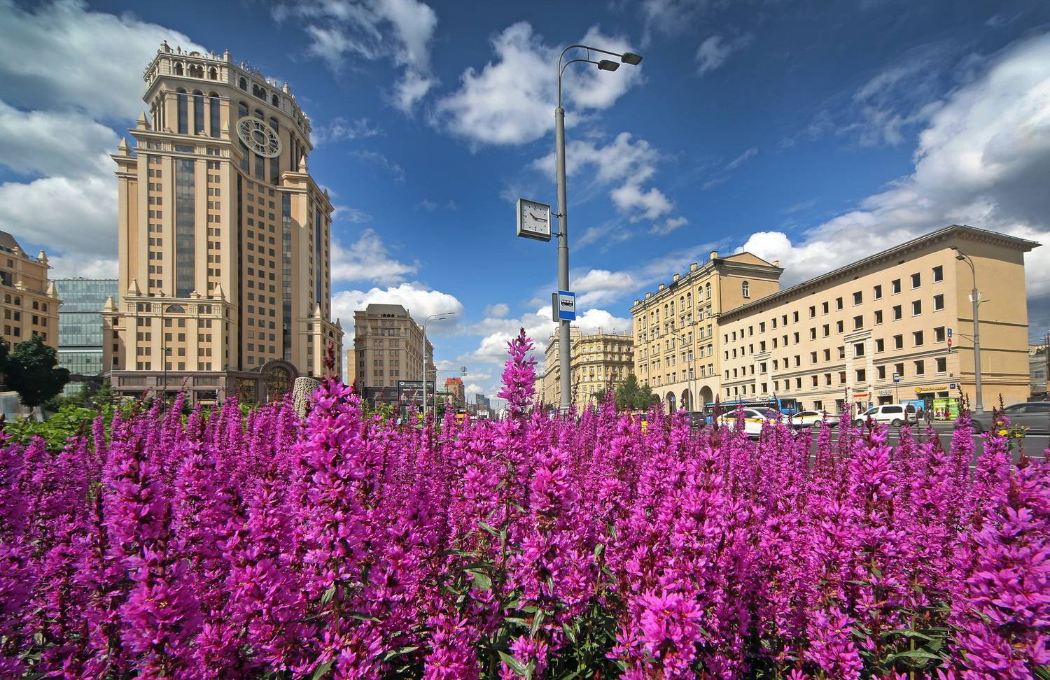 , Бибичков Михаил