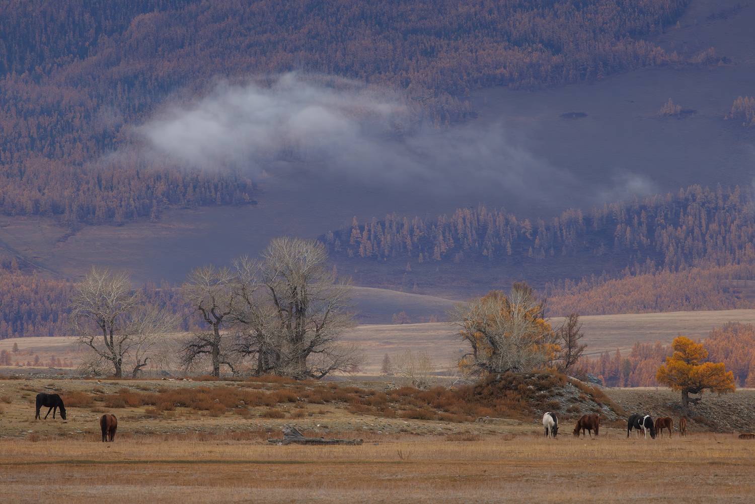 , Морозов Сергей