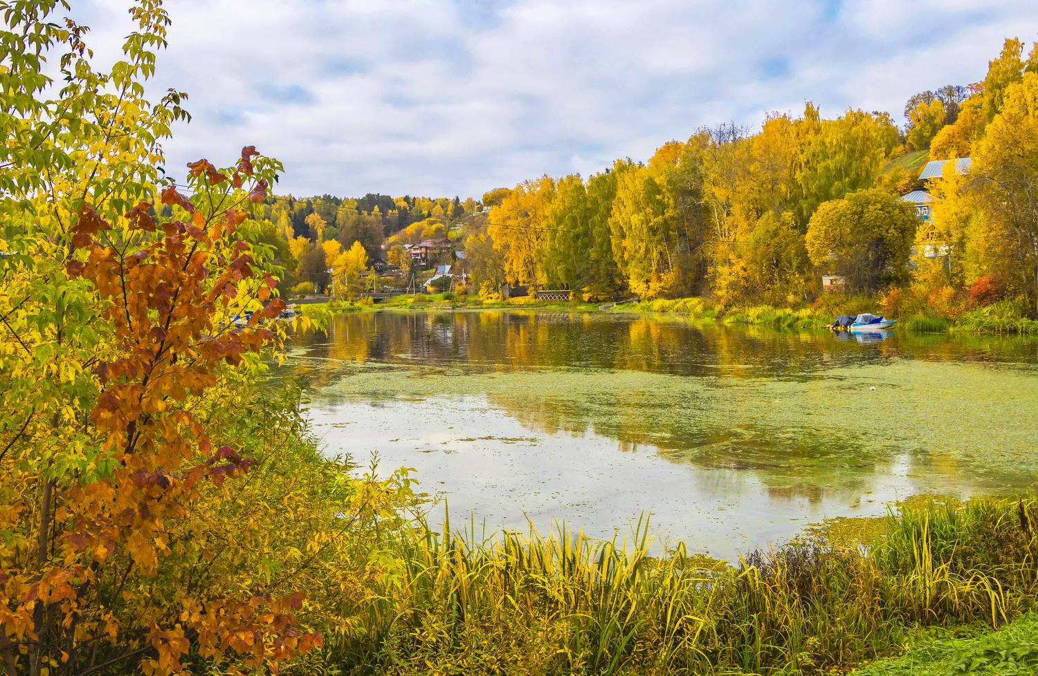 плес, осень, река шохонка, галина новинская