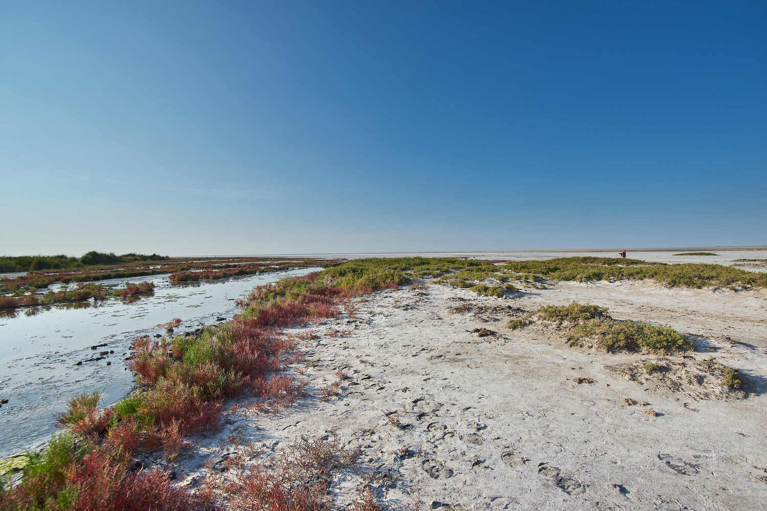 эльтон, россия, , Павел Сторчилов