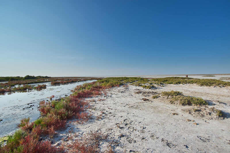 эльтон, россия,  Краски Эльтона фото превью