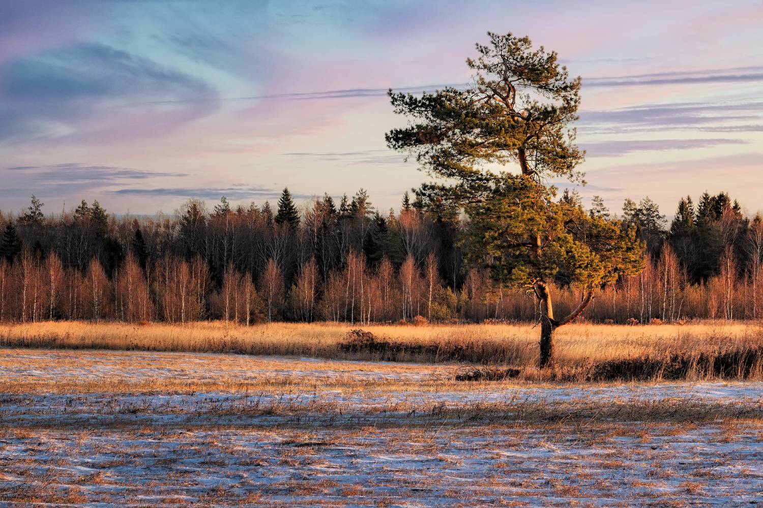 , Евгений Ерохин