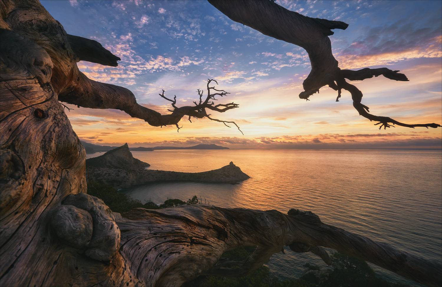 , Богорянов Алексей