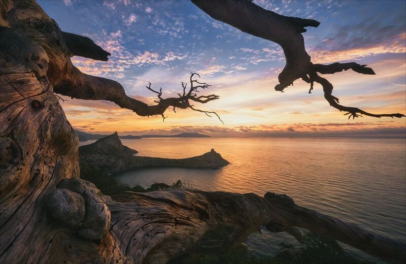 *** фото превью