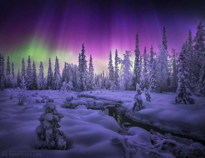 север, полярное сияние, кольский полуостров, хибины, кандалакша, териберка Где-то в Кольском лесу... фото превью