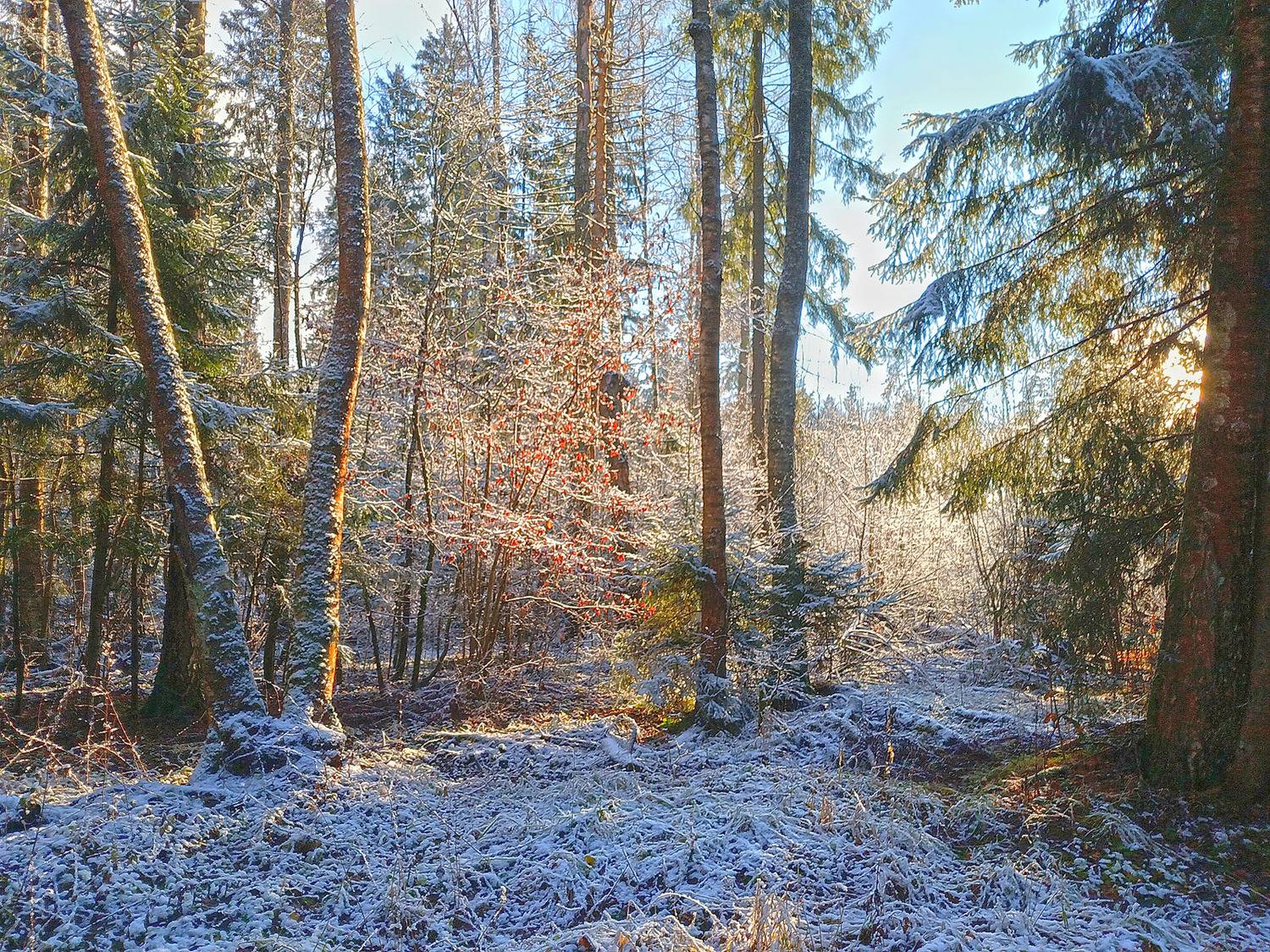 , Сергей Седов