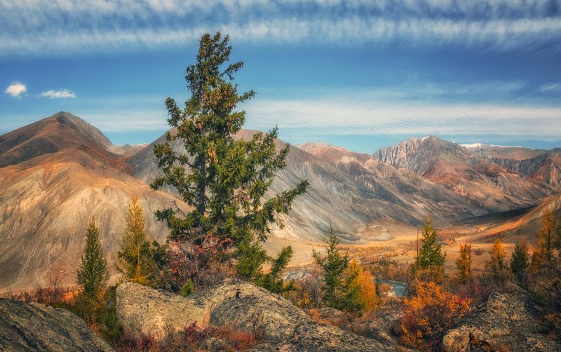 горный алтай, осень, северо-чуйский хребет, катунский хребет, внизу долина аргута и карагема Сверху всё виднее.... фото превью