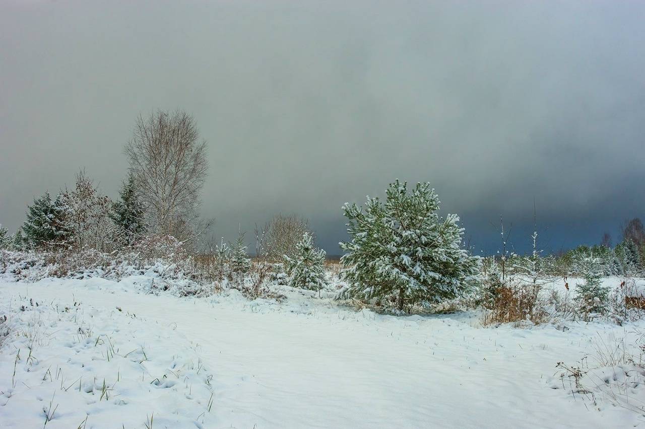 , Петр Косых