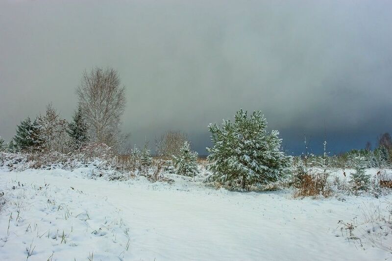 Первый снег фото превью