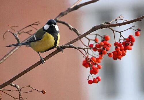 За завтраком))