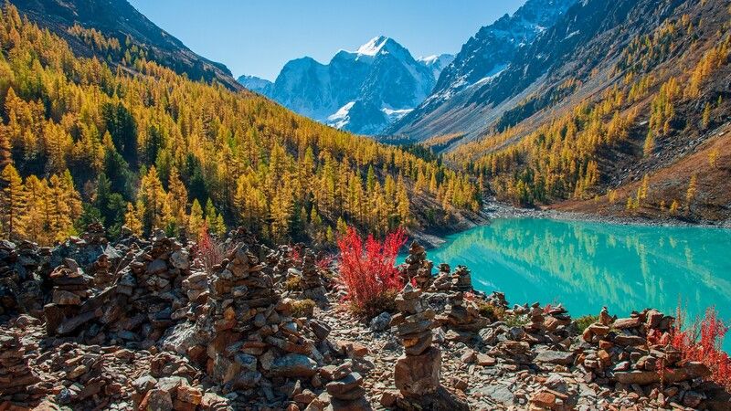 алтай, семёновское, озеро, мечта, красавица, сказка, осень, лиственницы, утро, обо, барбарис Осенний парад фото превью