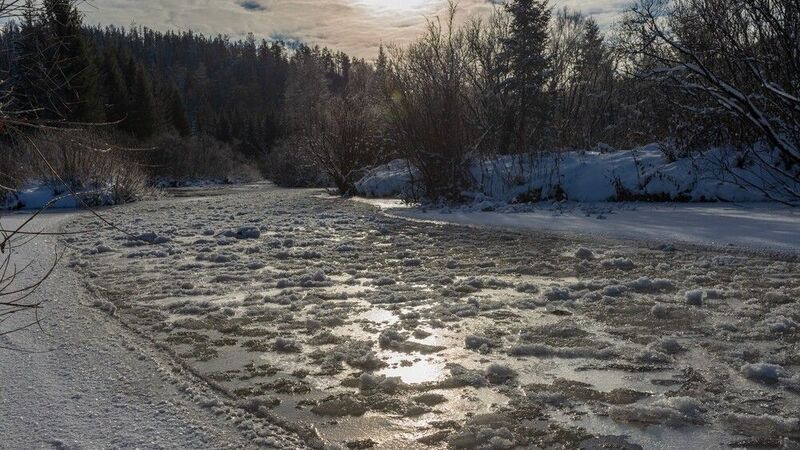 базаиха ноябрь Базаиха. Ноябрь фото превью