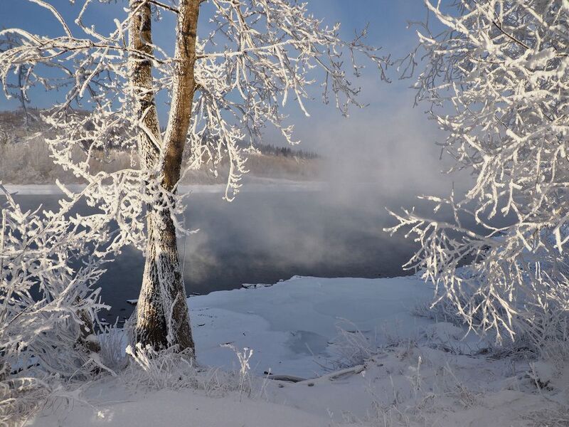 Иней, Томь, Сибирь Украсил инеем мороз фото превью