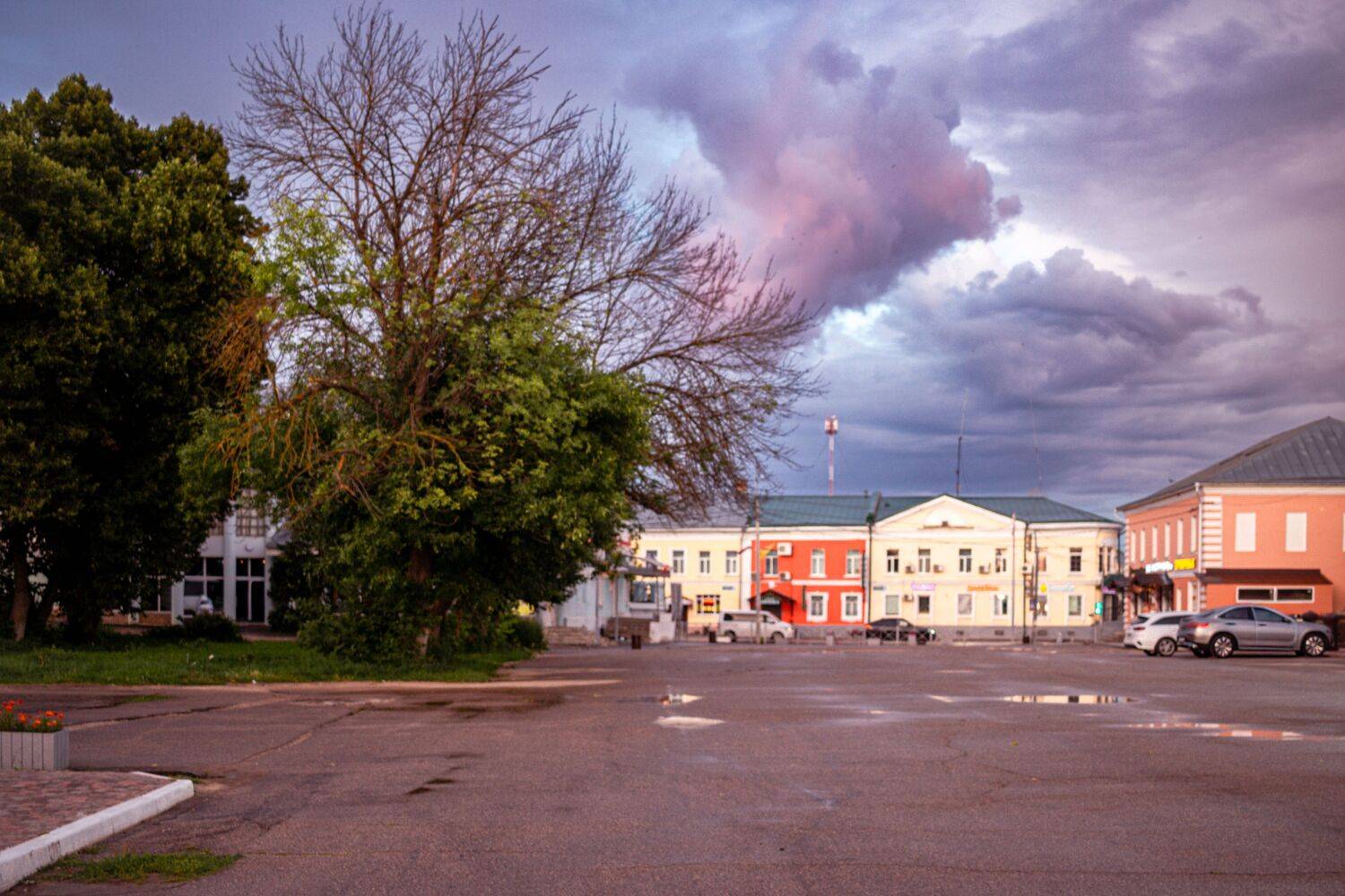 , Сахар Александр